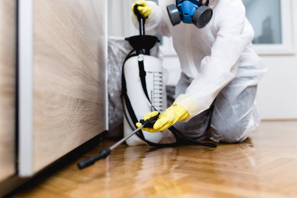 Flea Control Services in Romulus, MI