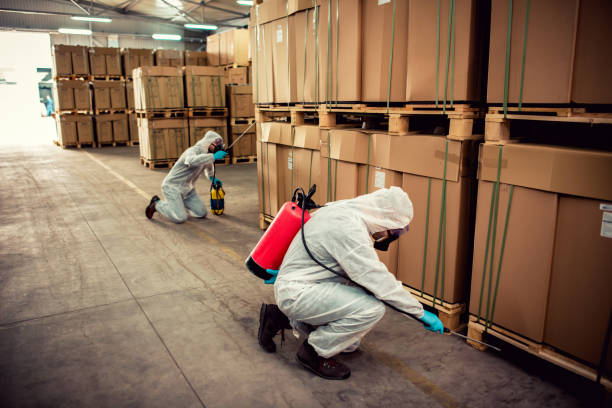 Best Best Pest Control Companies  in Romulus, MI
