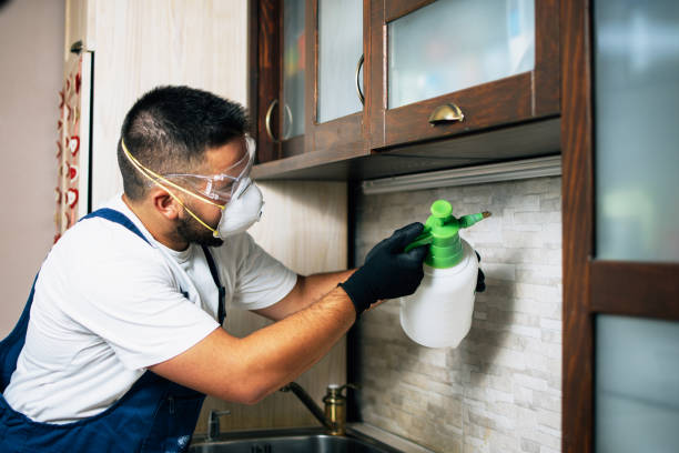 Best Affordable Pest Control Services  in Romulus, MI