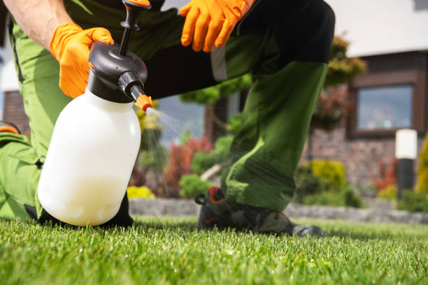 Pest Control Cost in Romulus, MI