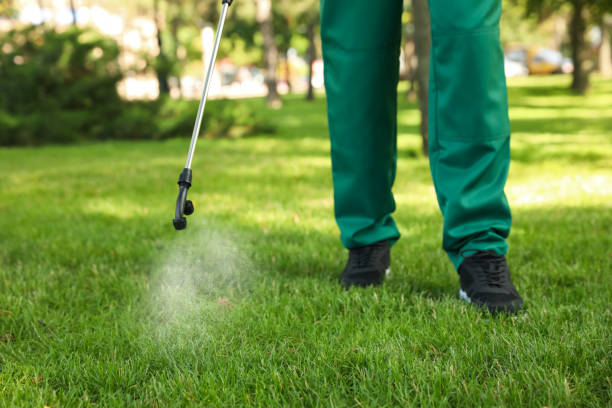 Best Local Pest Control Services  in Romulus, MI
