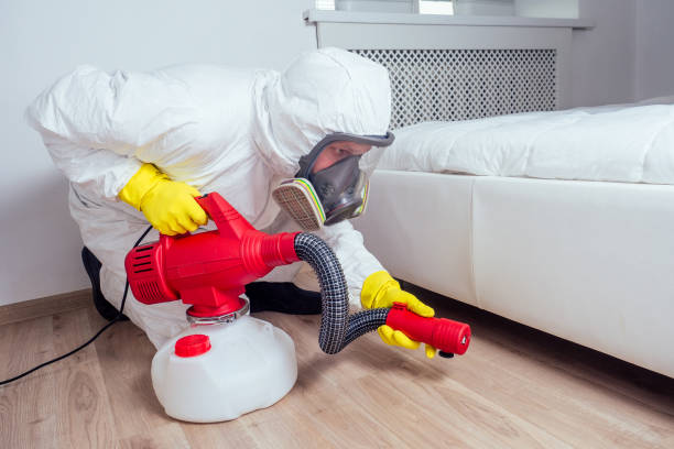 Best Termite Control Services  in Romulus, MI
