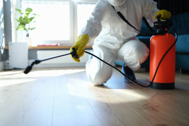 Best Mosquito Control Services  in Romulus, MI
