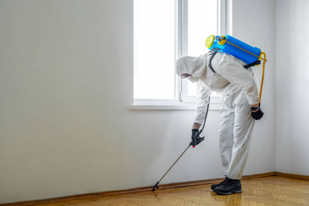 Best Wasp Removal Services  in Romulus, MI