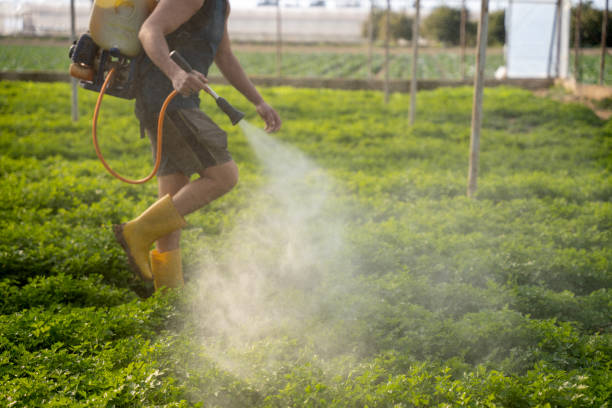 Best Pest Control Treatment  in Romulus, MI