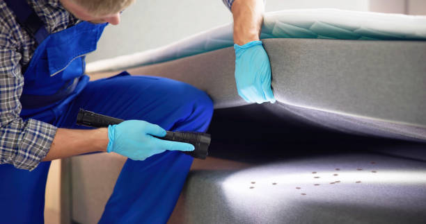Best Affordable Pest Control Services  in Romulus, MI