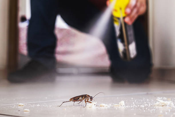 Best Emergency Pest Control  in Romulus, MI