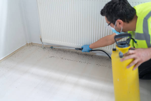 Best Exterminator Services  in Romulus, MI