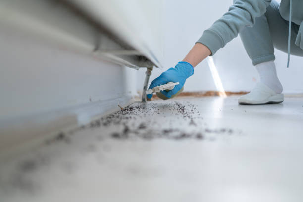 Best Exterminator Services  in Romulus, MI